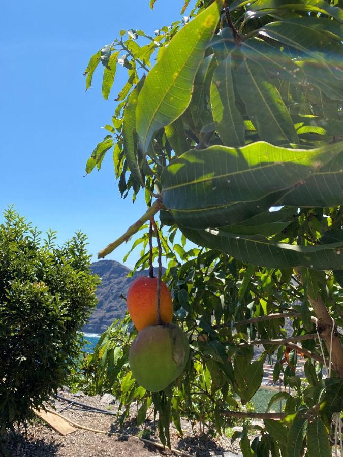 Casa Sol Villa Hermigua Dış mekan fotoğraf